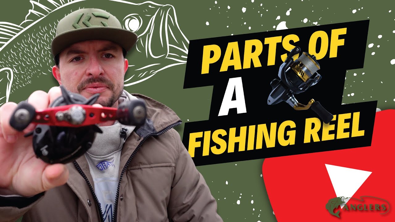 Understanding the Parts of a Fishing Reel: Can You Name Them All