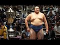 🌸🏯💪🤧✨大相撲・藤青雲が春巡業に合流｜アレルギー性鼻炎の手術を乗り越え復活へ前進【横浜巡業】