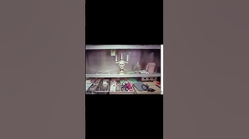 Inside the Toy Box Killer’s Trailer 😨