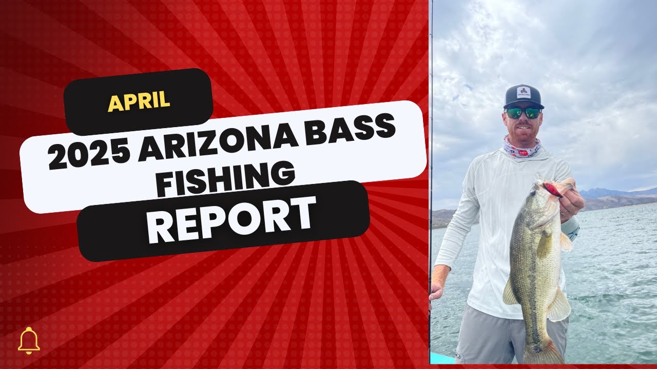 April 2025 Arizona Spring Bass Fishing Report
