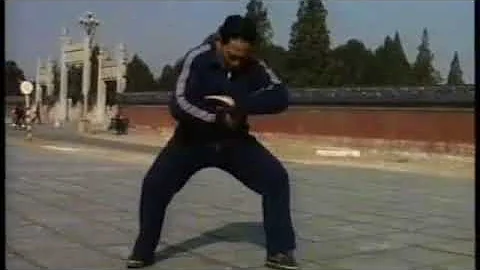 Feng Zi Qiang - Tai Chi style Chen Xinjia Yilu [  ...