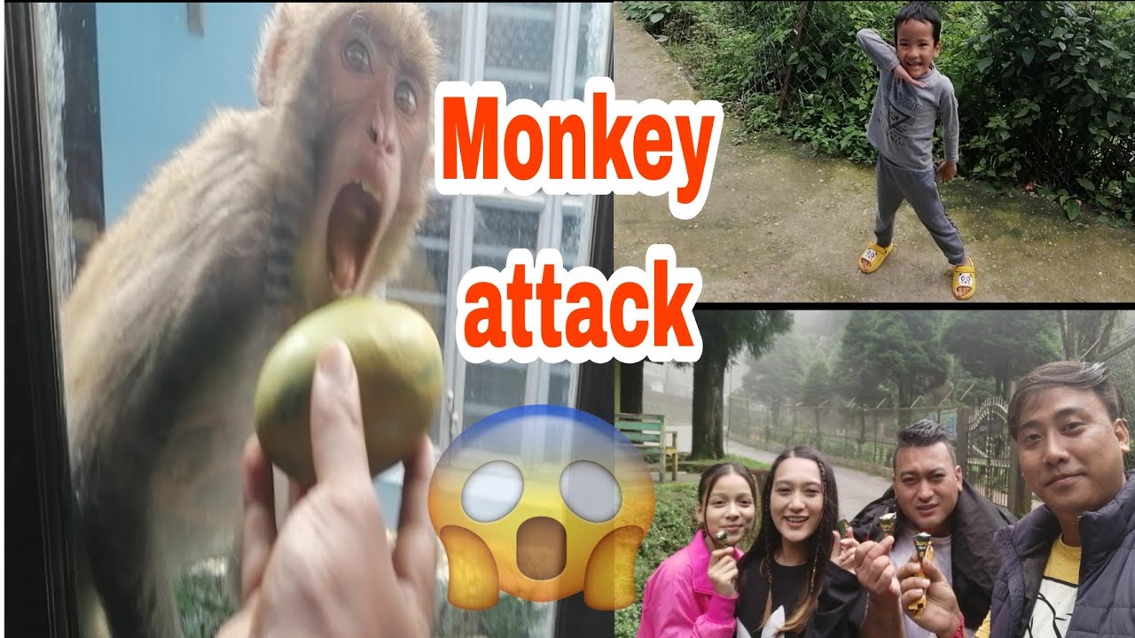 Meet Cute pushpa || Dowhill Haunted Place || Masti Wala Vlog