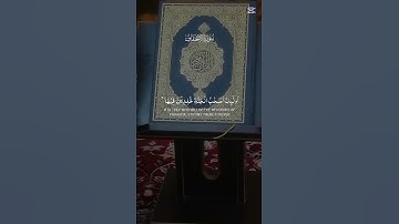 سورة الأحقاف #اكسبلور