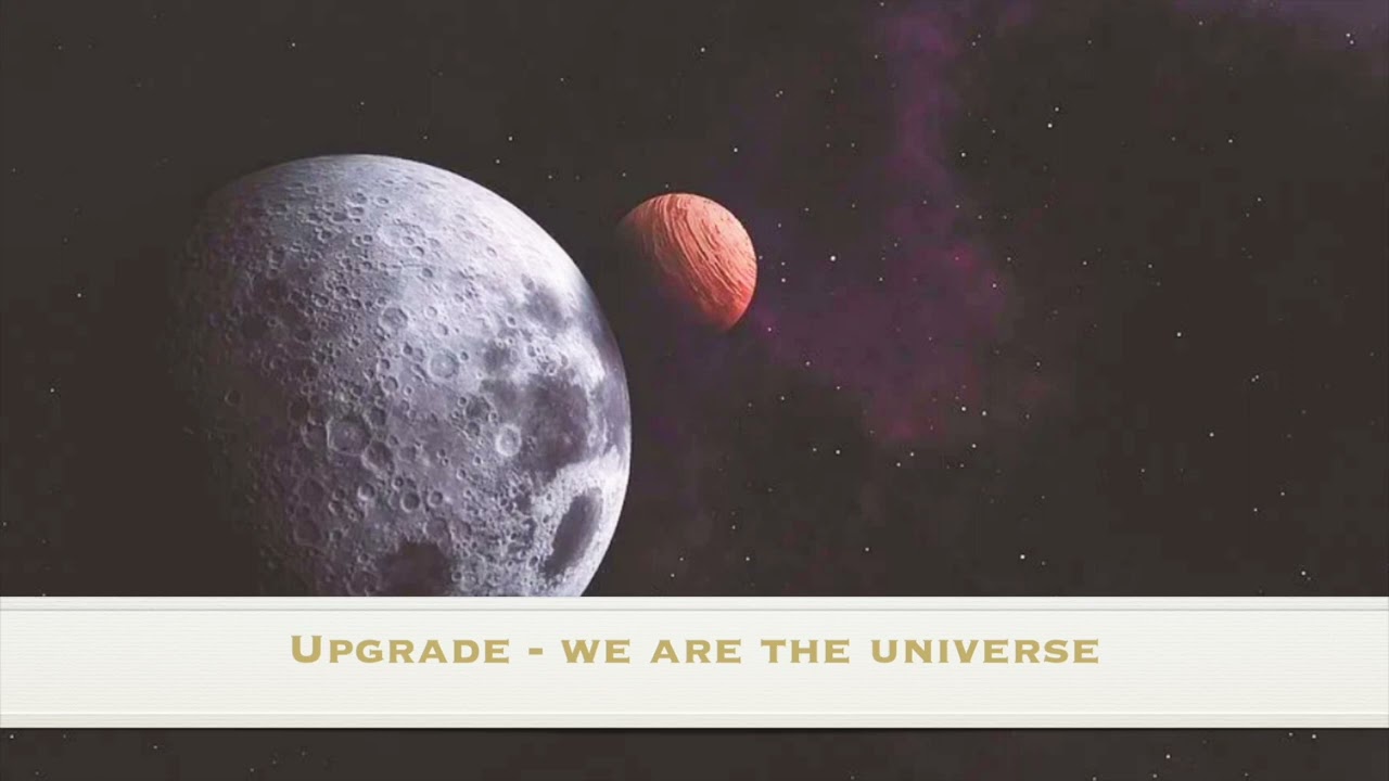 Upgrade - We are the universe