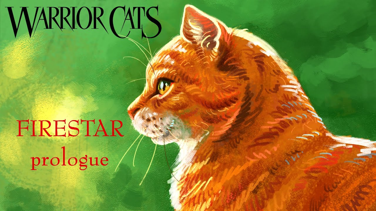 Firestar!!!!  Warrior cats art, Warrior cats books, Warrior cat