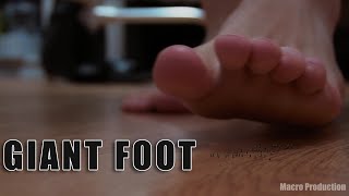 Giant Foot Preview