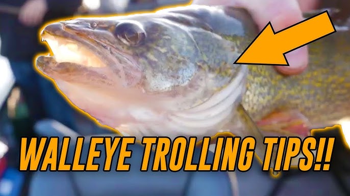 How To CATCH WALLEYE On Blade Baits. (EASY Walleye Fishing How-To!) 