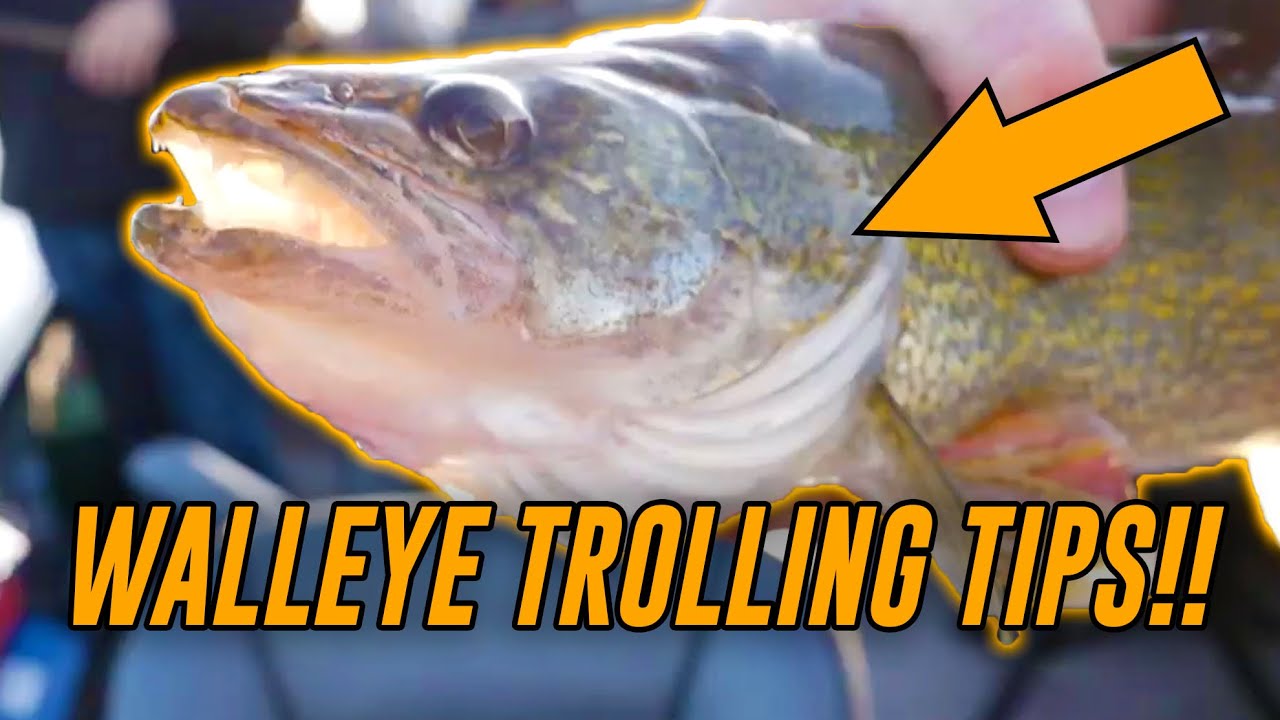 WALLEYE Fishing 101 - HOW TO Troll For Walleye (EASY!) 