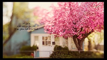 Quran : Nasser alqtami- سورة القارعة- ناصر القطامي