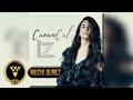 Canan Çal - Yalancısın İnanamam (Official Audio)