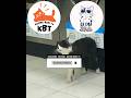 Banyak aturan di laundry || Kucing Lucu Paling Ngakak Part 1921 || #funny #shorts #fyp
