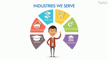 TheOS Systems Web Application and Custom Software Development Company in Jharkhand