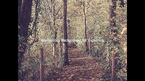 Pulsating Moods for Weekend Trips