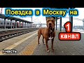 ПОЕЗДКА В МОСКВУ НА 1 КАНАЛ. ЧАСТЬ 1.