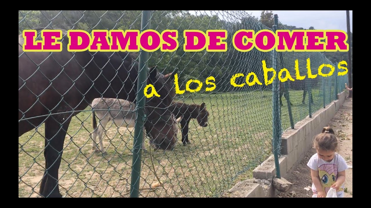 OS DAMOS LAS GRACIAS + MOMENTOS | #VLOG210 camera iphone 8 plus apk