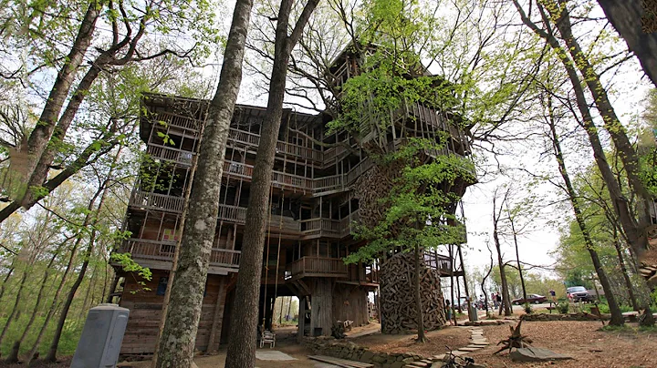 Top 10 Spectacular Tree Houses In The World || Pastimers