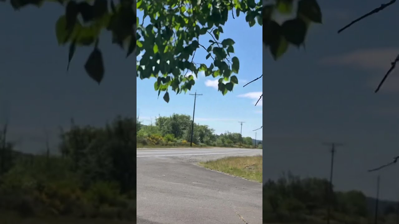 Scenic Shot Environmentalcleanup Metaldetecing
