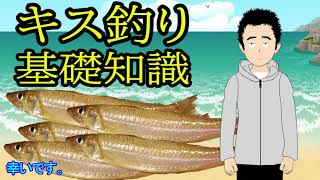 【キス釣り】釣り方、仕掛けの基礎を学ぶ