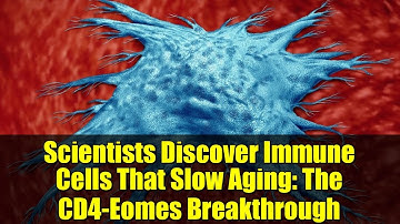 Scientists Discover Immune Cells That Slow Aging: The CD4-Eomes Breakthrough