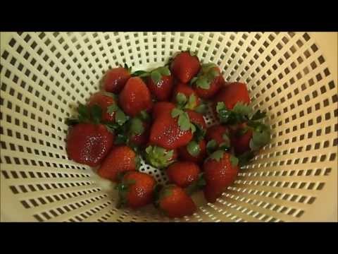 딸기를 신선하게 유지하는 방법