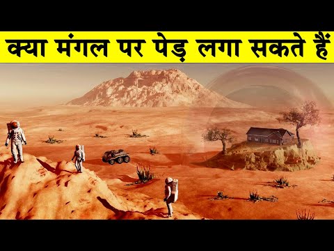 वीडियो: क्या मंगल पर वनस्पति थी?