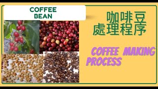 咖啡豆處理過程(Coffee making process to baking brewing) 