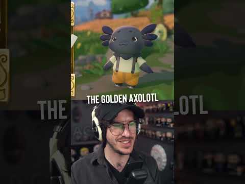 The Axolotl in