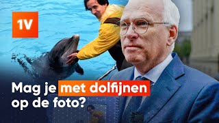 Minister over controversiële foto's Dolfinarium: 'Dit moet stoppen'