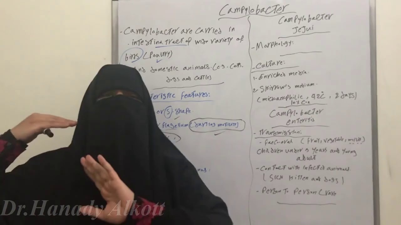 🤢👁Campylobacter Part 1🧠👀👶