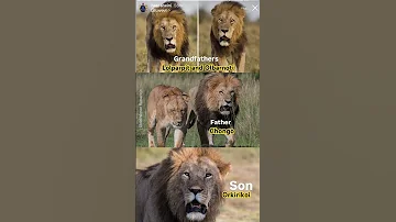 Mara Three Generations 