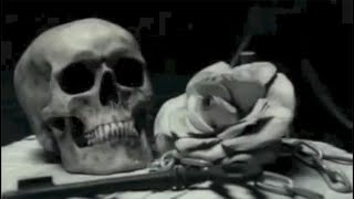 Cradle Of Filth - Nymphetamine Fix Legendado (Official Music Video)