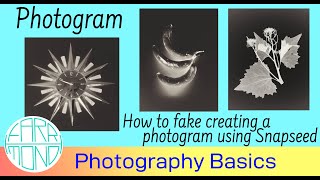 Fake creating a Photogram using Snapseed screenshot 2