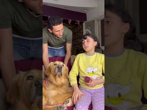 بتحط شطة في فم الكلب اكسبلور