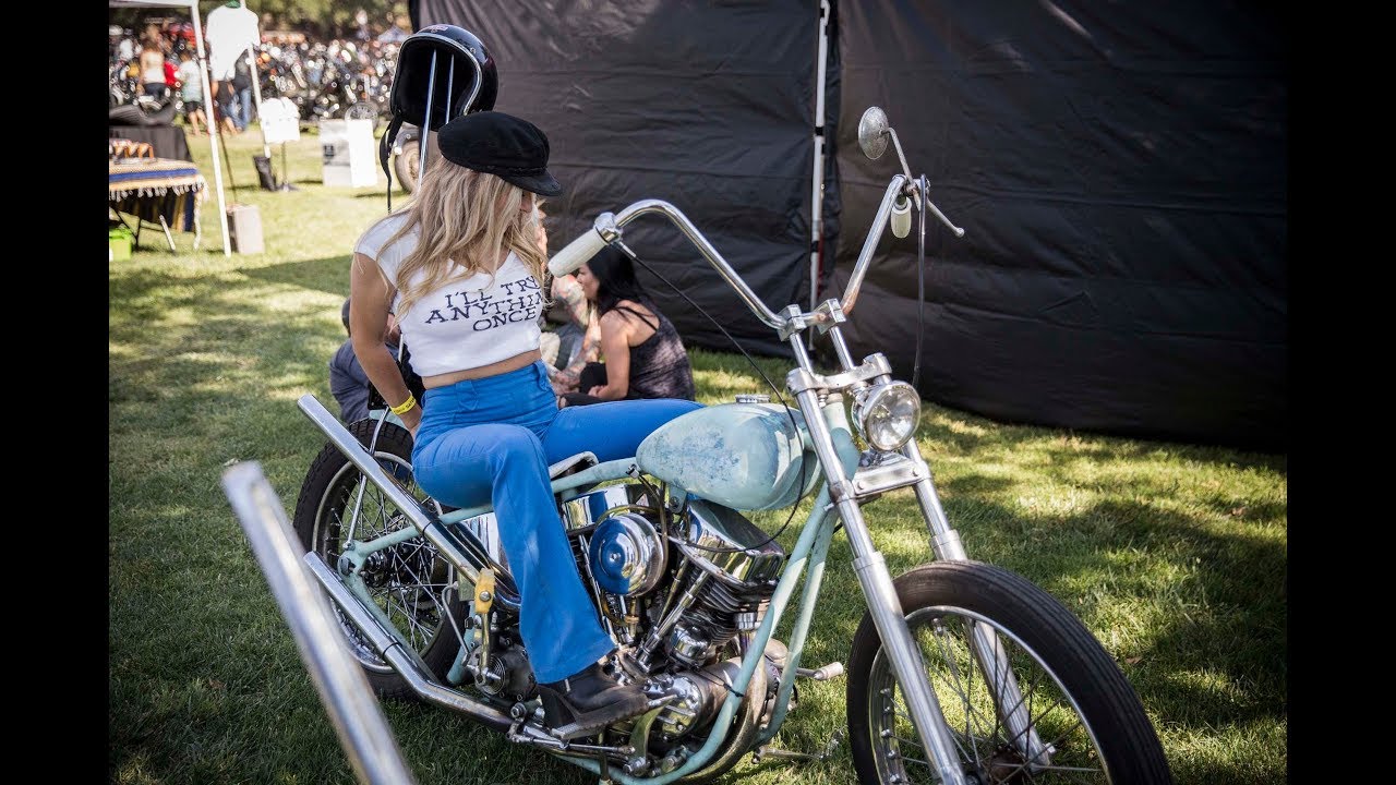 Born Free 10 Rsd Youtube