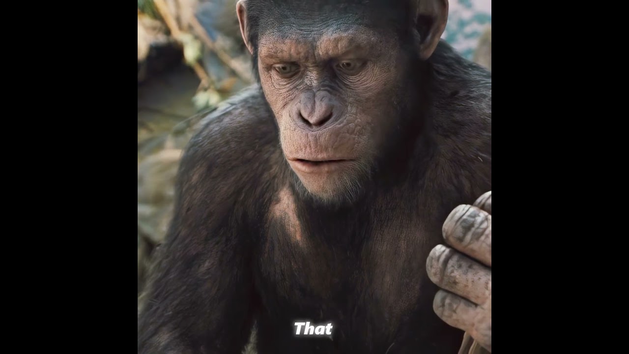 The Smart Ape#shorts — Transcript