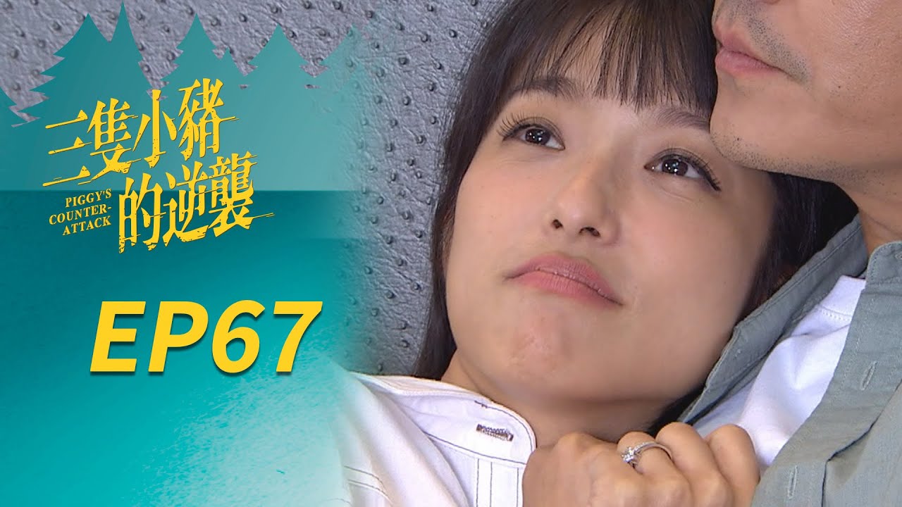 三隻小豬的逆襲 EP67 Piggy's Counterattack｜三立華劇