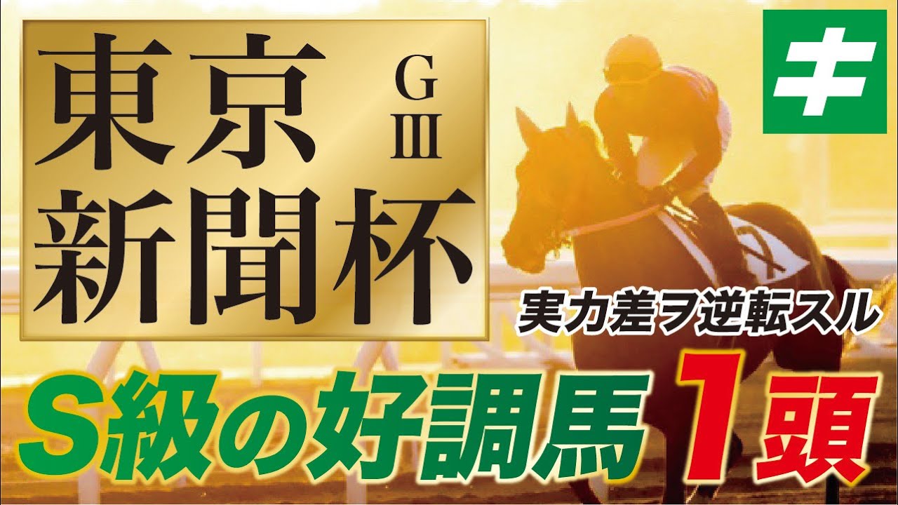 東京新聞杯 2022 【予想/調教】今週も好調教馬が勝負を決める！自信の伏兵を公開中！