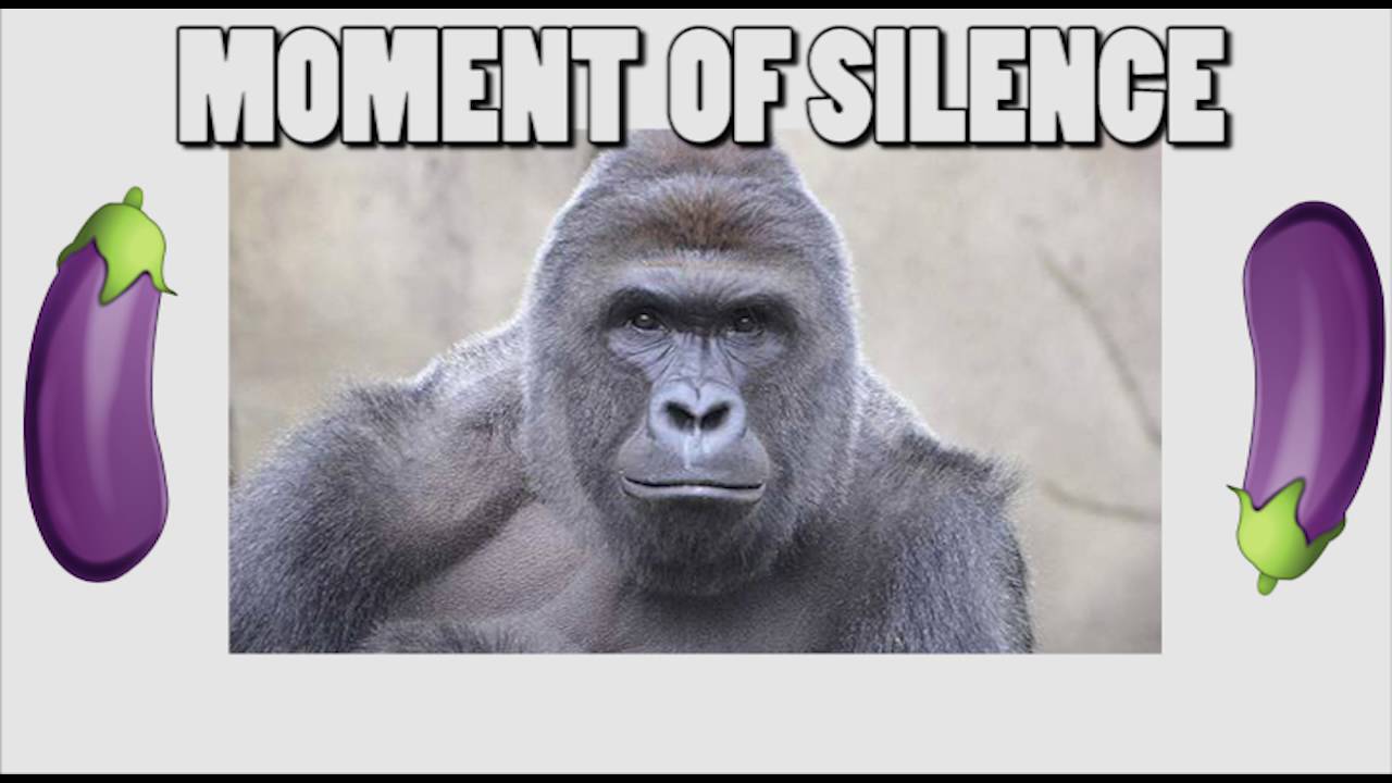 harambe of silence youtube