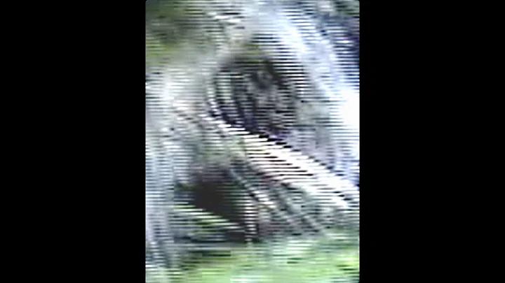 Sasquatch Awareness Project - What Do They Look Li...