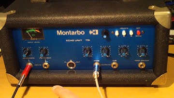 Montarbo Disc Echo Analog Delay