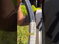 Is It Okay to Peel a Snake’s Skin Off?