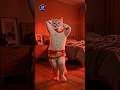 الليل واخره 😂😍 قنبلة الجيل الحقيقي وصل ❤️#ai #cat #dance #mixtrend #funny