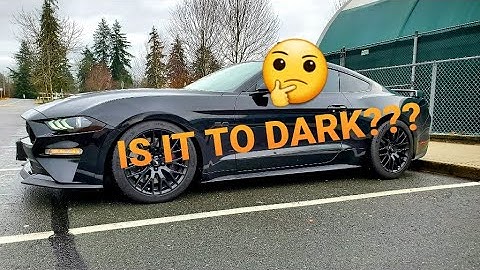 IS IT TO DARK? TINTING MY CARS WINDOWS!! 2019 Mustang GT Premium