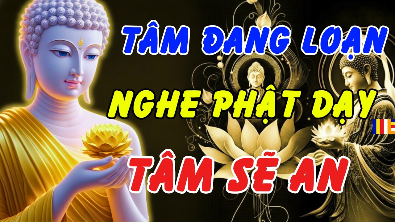 Phật Dạy: Tâm Chưa Yên Vì Phước Chưa Đủ – Bớt Mong Cầu, Bớt Lo Âu, Lòng Sẽ Nhẹ Lại
