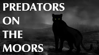 Predators on the Moors