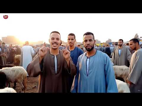 دعوة فرح بالذكاء الاصطناعي