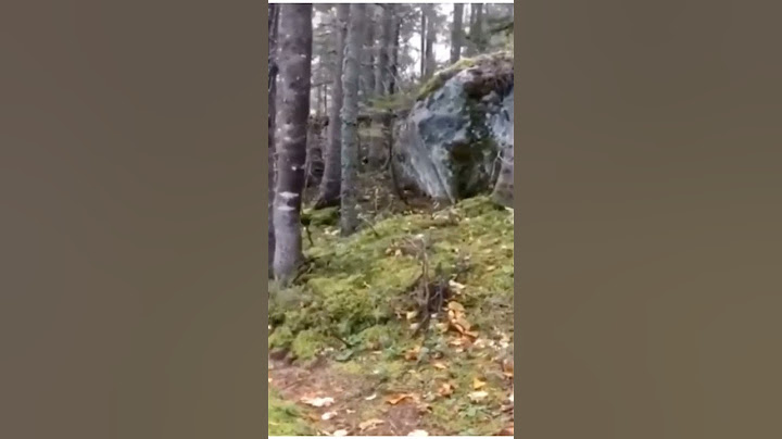 terrifying things found deep in the woods -pulsating earth #shorts #hauntedforest #scary #viral