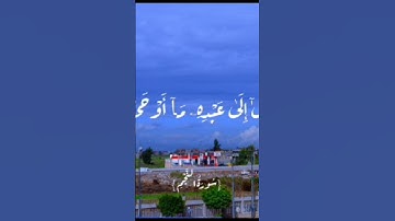الشيخ احمد نعينع-سورة النجم ⭐
