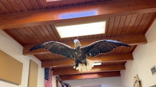 Allatoona Lake Vistor Center And Museum