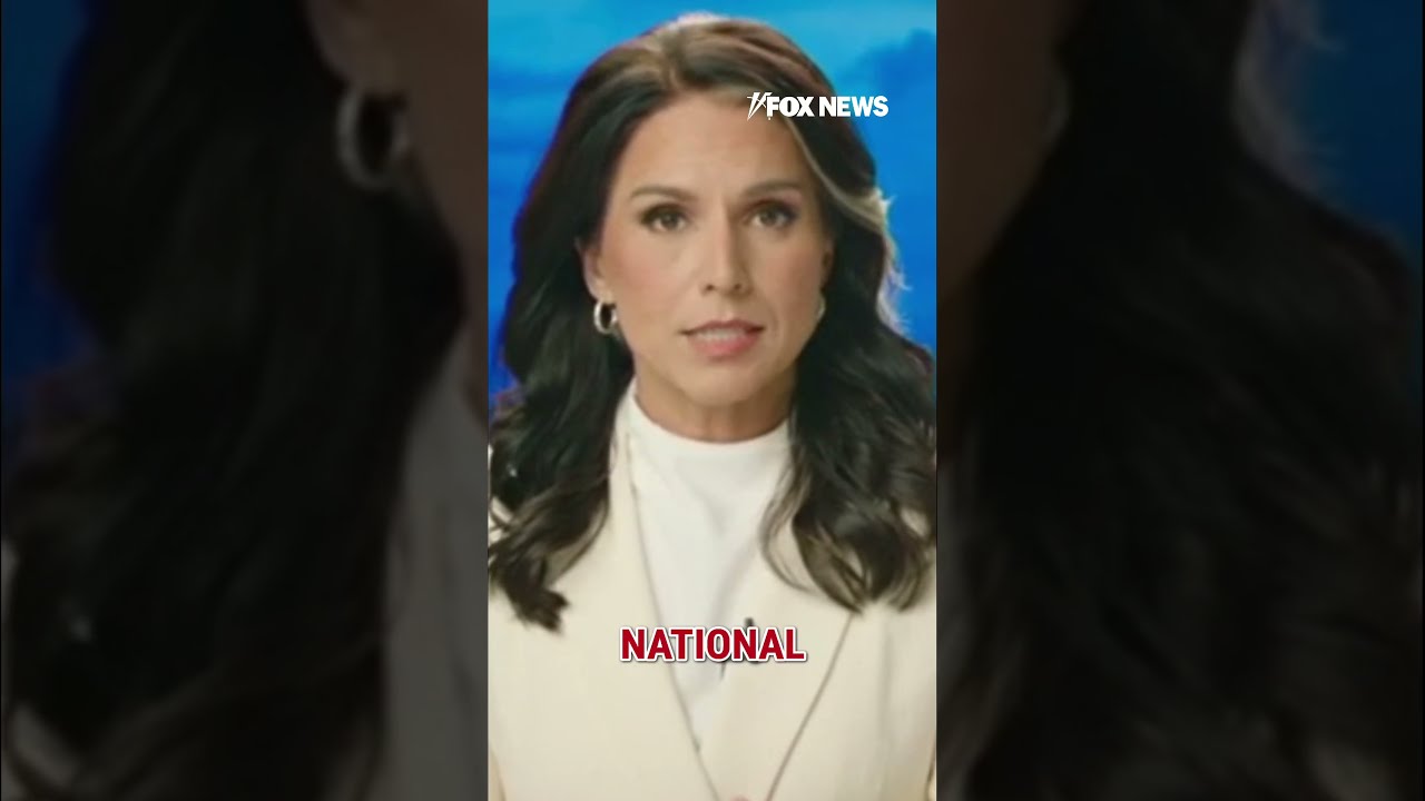DNI Tulsi Gabbard Blows The Lid Off Russiagate Hoax WHISTLEBLOWER Shorts Trump Obama Russia